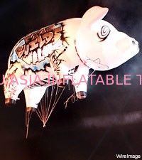 Shine of the pig,the inflatable helium balloon for decoration