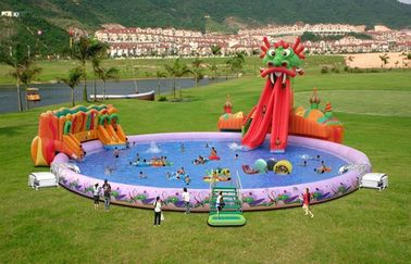 Fantasy Dragon Slide Pool Water Park For Kids