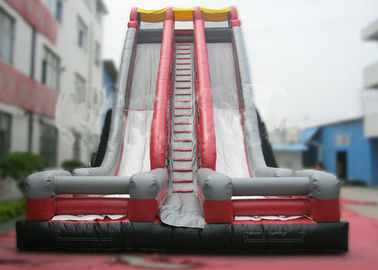 Ice Age Inflatable Slide Rental Double Water Slide For Ice Age Film Fans