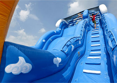 Colorful Inflatable Slide Rental Lovely Carton Bouncer Slide For Sale