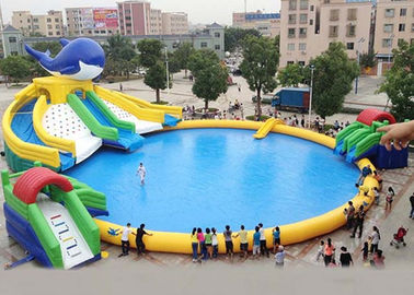 Commercial Octopus Inflatable Water Parks For Kids / Blow Up Pool With Slide