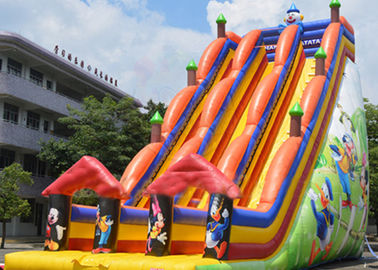 Backyard Dry and Wet Slides With Silk - Screen Printing  / Inflatable Pool Slide