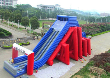 Backyard Dry and Wet Slides With Silk - Screen Printing  / Inflatable Pool Slide