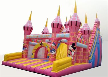 Commercial PVC Tarpaulin Inflatable Theme Park With Double Slide Combo