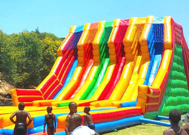 Huge Shark Inflatable Slide With PVC Material / Blow Up Water Slide