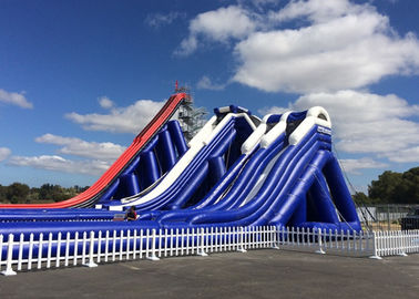 Huge Shark Inflatable Slide With PVC Material / Blow Up Water Slide