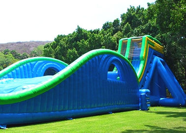 Colorful Hippo Water Slide / Inflatable Wave Water Slide With Silk Printing