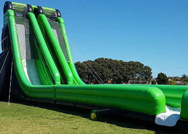 Colorful Hippo Water Slide / Inflatable Wave Water Slide With Silk Printing