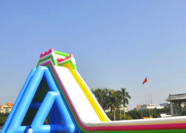 Funny And Exciting Jungle Inflatable Rampage Water Slide For Amusement Games