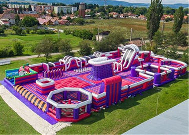 Durable Inflatable Theme Park With PVC Tarpaulin Material Purple And Blue