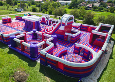 Durable Inflatable Theme Park With PVC Tarpaulin Material Purple And Blue