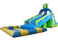 Dual Slide Inflatable Water Park Pool In Frog Design For Kids And Adult