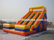Inflatable Pvc Tarpaulin Dual Slide For Children Park Games