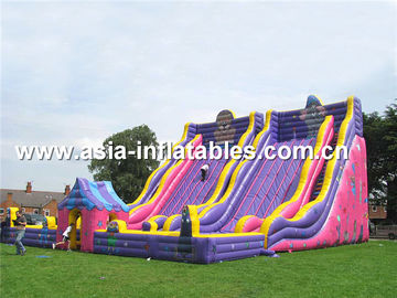 Giant Inflatable Slide For Kids School Amusement Games