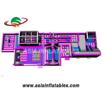 Customized Pink 18 OZ Tarpaulin Inflatable Theme Park