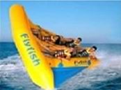 Exciting Inflatable Flying Fish Boat for Entertainment , Easy To Set Up