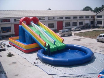 Customized Inflatable Hippo Slide