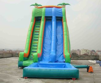 Commercial Grade Inflatable  Pool Slide with Palm Trees