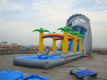 Rental  Inflatable Water Slide for Sale