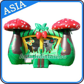 Inflatable Strawberry Bouncer And Slide Combo Games For Children