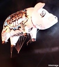 Shine of the pig,the inflatable helium balloon for decoration