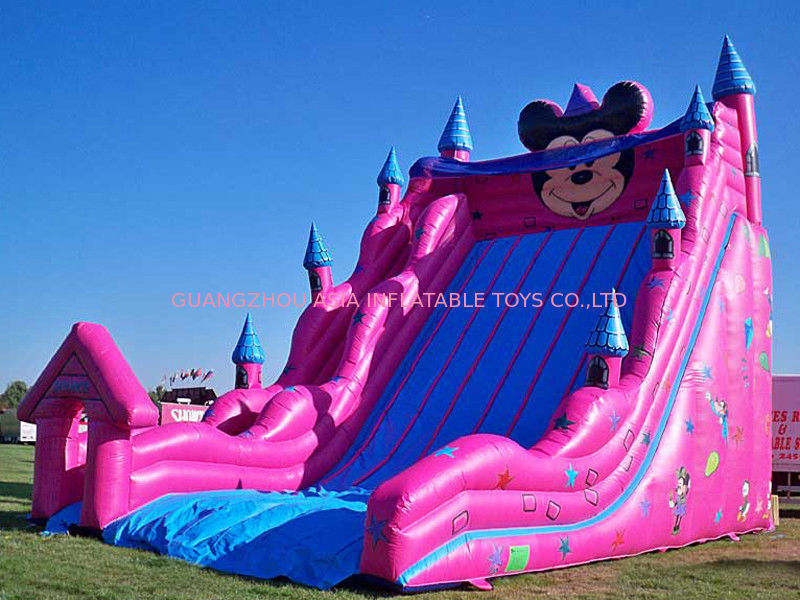 Inflatable Amusement Park With Big Inflatable Slide For Adult / Kids