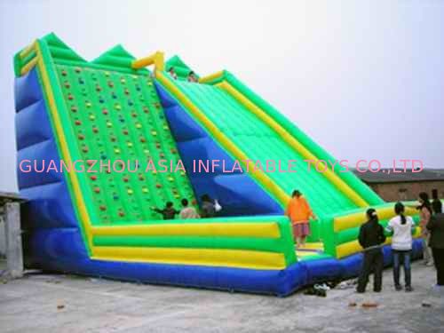 Inflatable Amusement Park , 8m Green Rock Climbing Wall With Slide For Rental