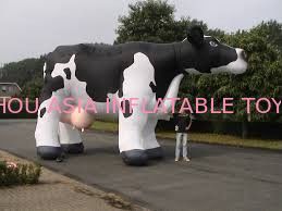 Cow helium balloon