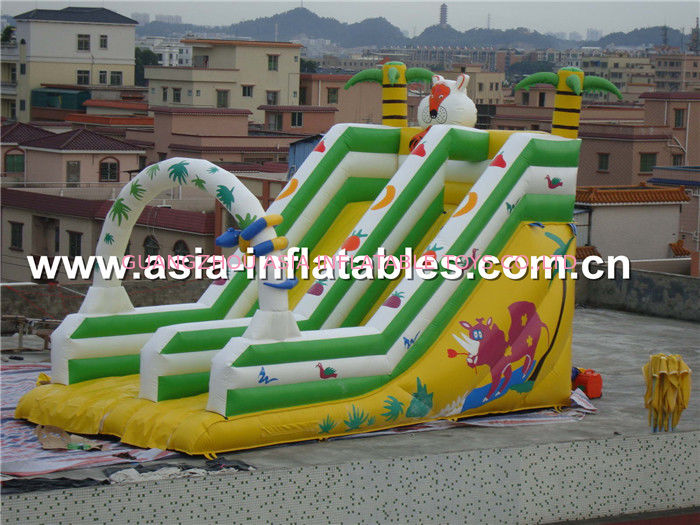Hot Sale Inflatable Double Lane Slide In Cartoon Theme For Kids