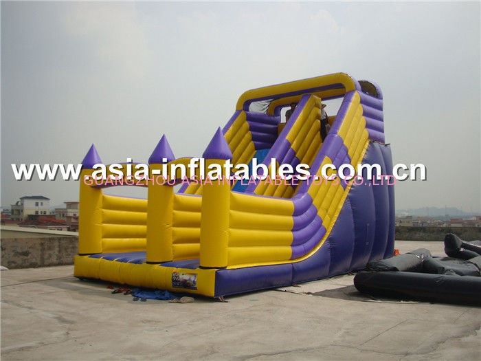 Hot Sale Inflatable Dry Slide With Arch Doors For Chidlren Park Outdoor Games