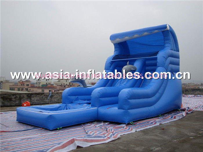 Customized inflatable water slide,inflatable slide,giant inflatable slidefor adult