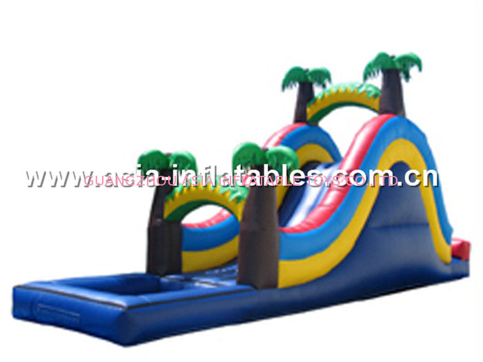 inflatable water slide, giant outdoor inflatable slide, commercial waterslide for kids