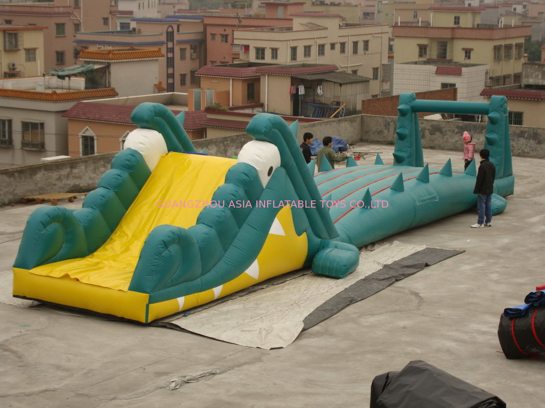 Great Fun Inflatable Crocodile Water Slide for Water Paks