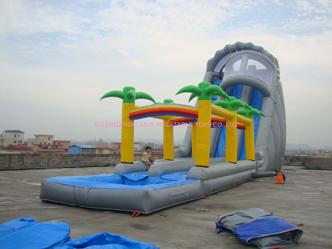 Rental  Inflatable Water Slide for Sale